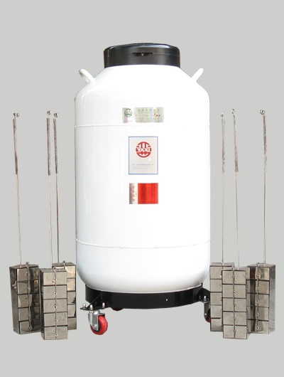 液氮容器运输贮存两用