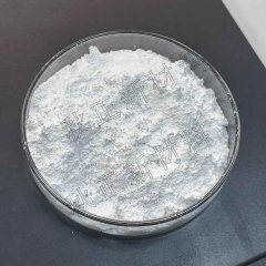 45S5生物活性玻璃粉