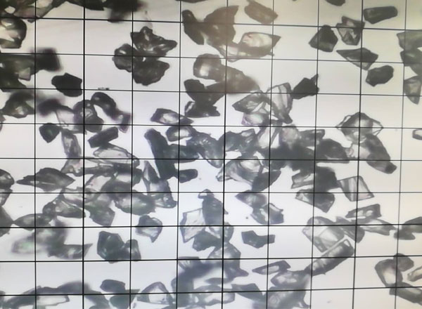 绿碳化硅微粉 2000#颗粒形状