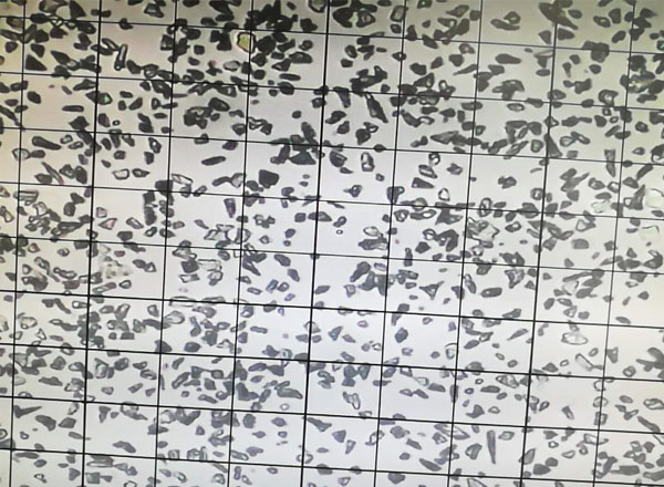 绿碳化硅微粉 10000#颗粒形状