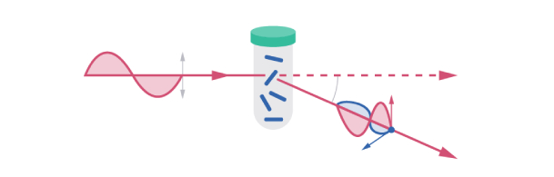 新建项目 (3).jpg