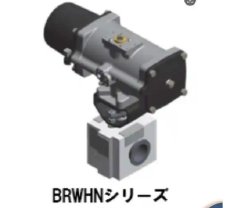 日本kitzsct 真空法兰热球阀BRWHN