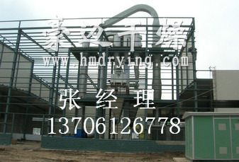 饲料级磷酸氢钙气流干燥器1500L/h