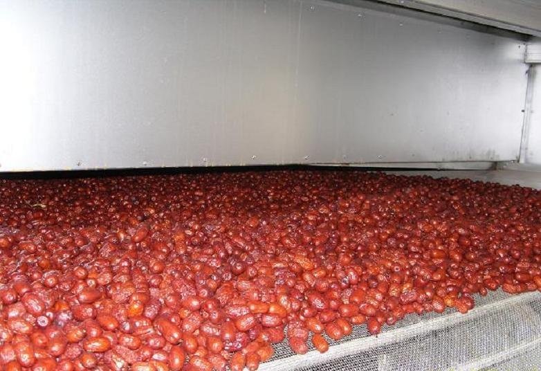 红枣带式烘干机